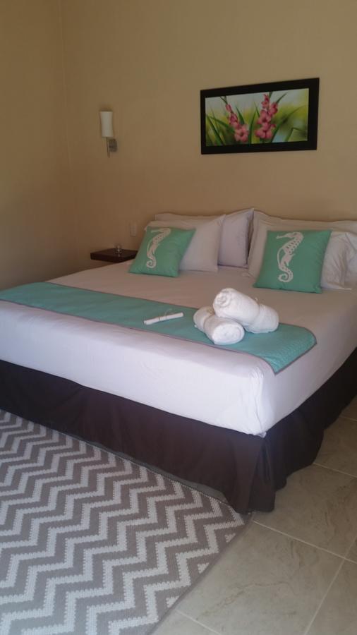 Moon Dreams Yum Balam Hotel Ilha Holbox Exterior foto