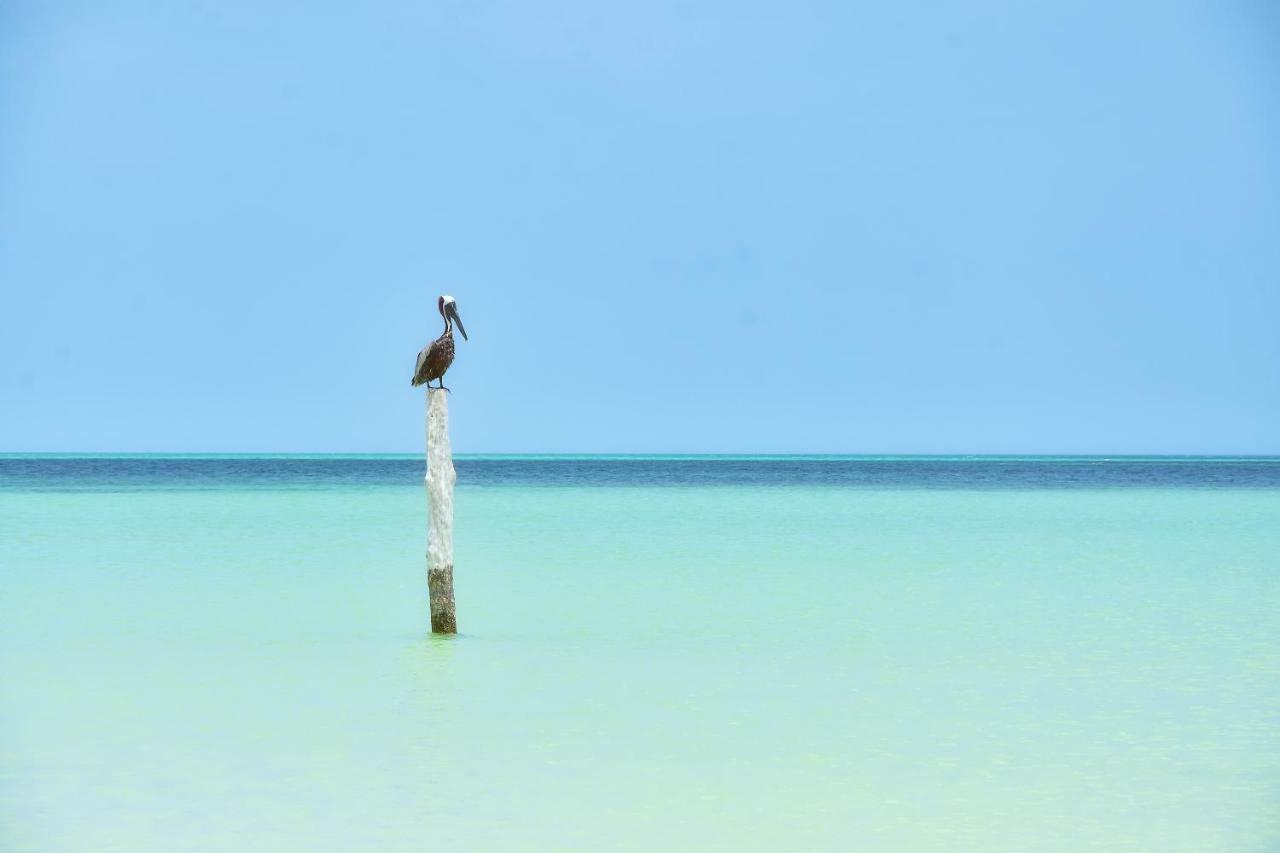 Moon Dreams Yum Balam Hotel Ilha Holbox Exterior foto